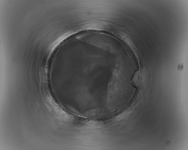 X0000111230779200907161316