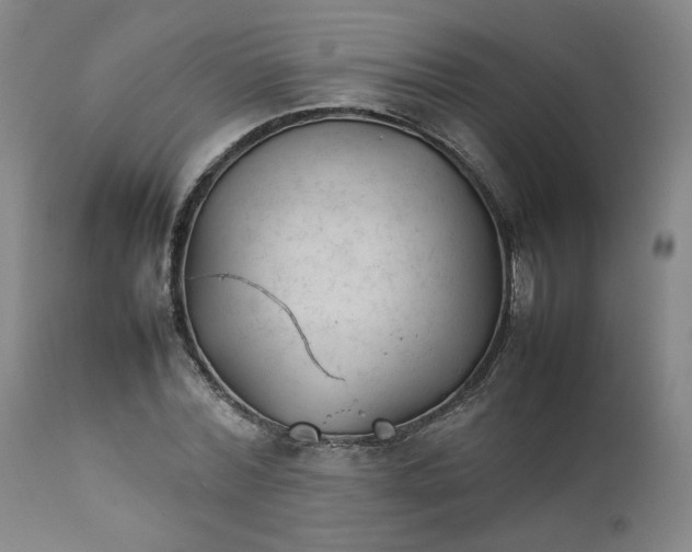 X0000111230780200907161316