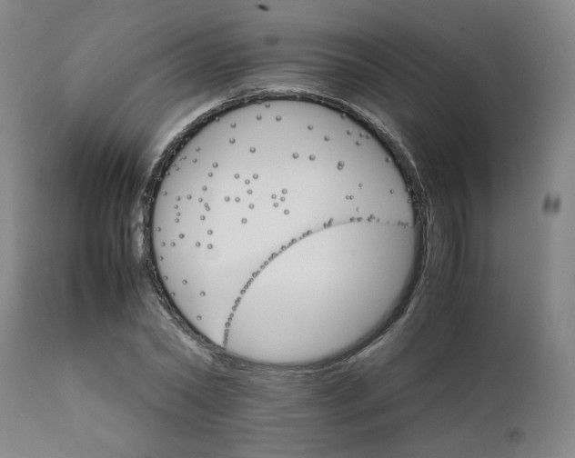 X0000111230782200907161315