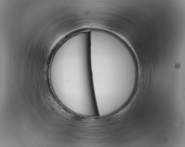 X0000111230783200907161315