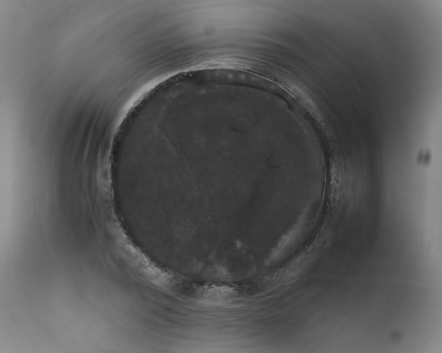 X0000111230784200907161315