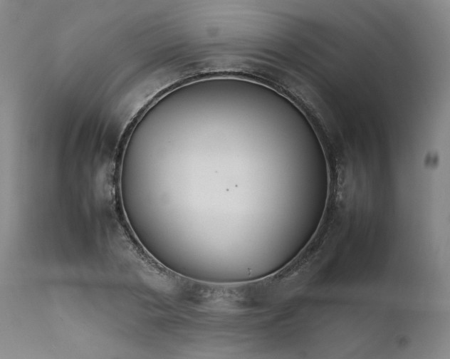 X0000111230786200907161315