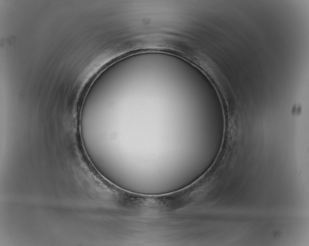 X0000111230787200907161315