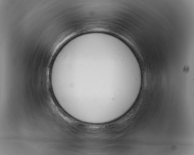 X0000111230790200907161315