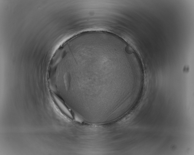 X0000111230797200907161315
