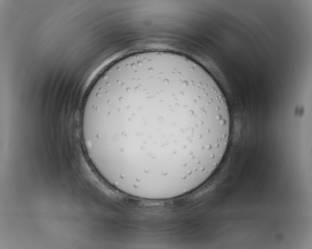 X0000111230798200907161315