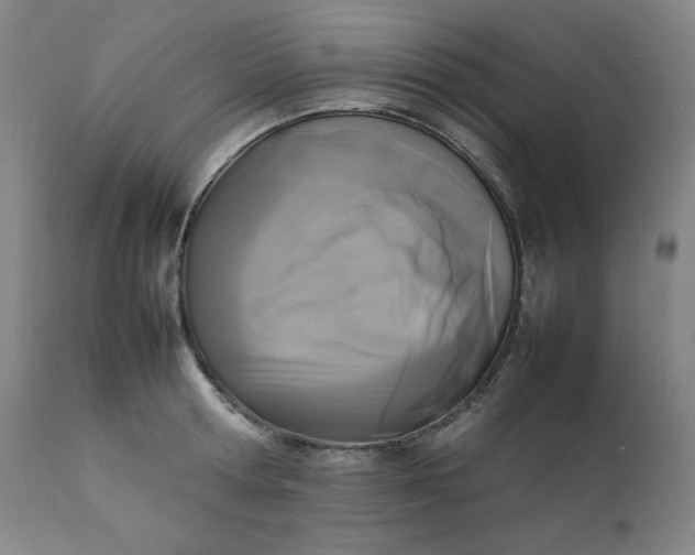 X0000111230802200907161315