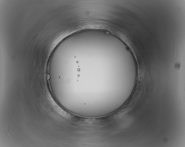 X0000111230803200907161315