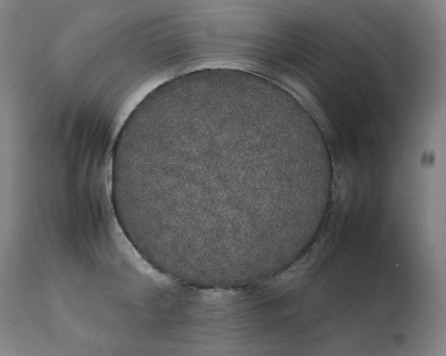 X0000111230804200907161315