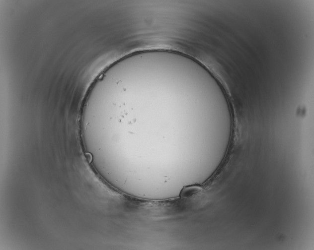 X0000111230805200907161315