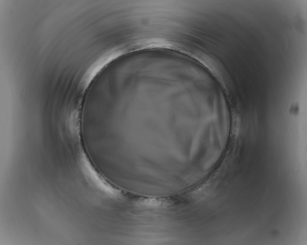 X0000111230806200907161315