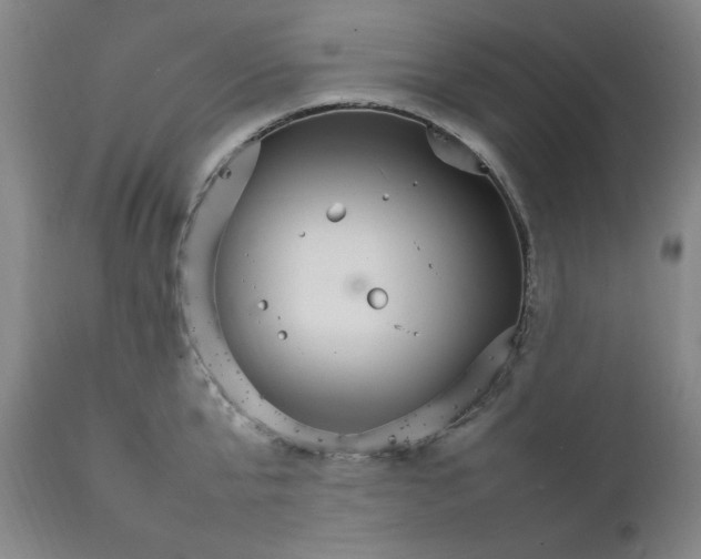 X0000111230807200907161315