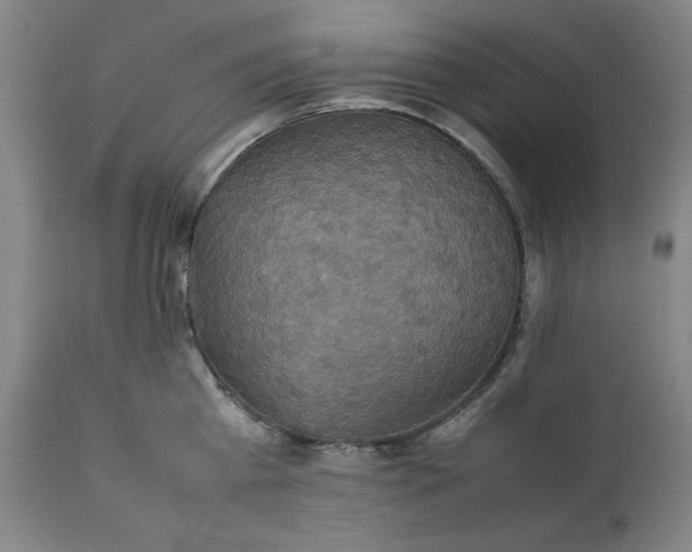 X0000111230809200907161315