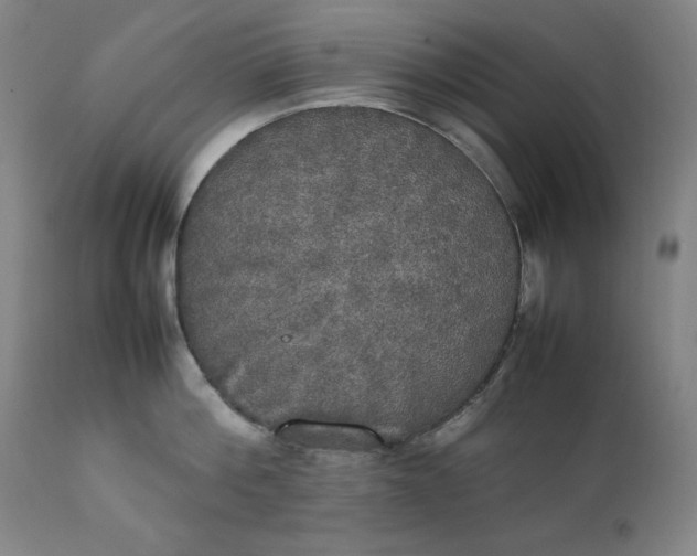 X0000111230812200907161315
