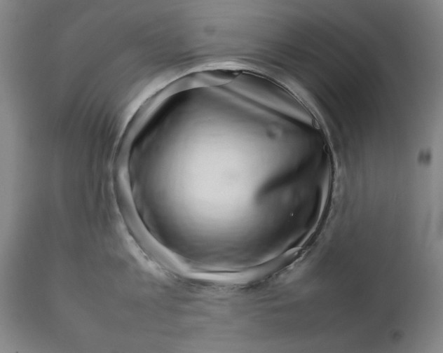 X0000111230813200907161315