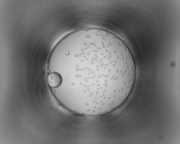 X0000111230814200907161315