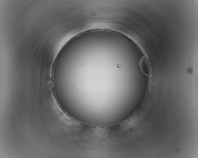X0000111230815200907161315