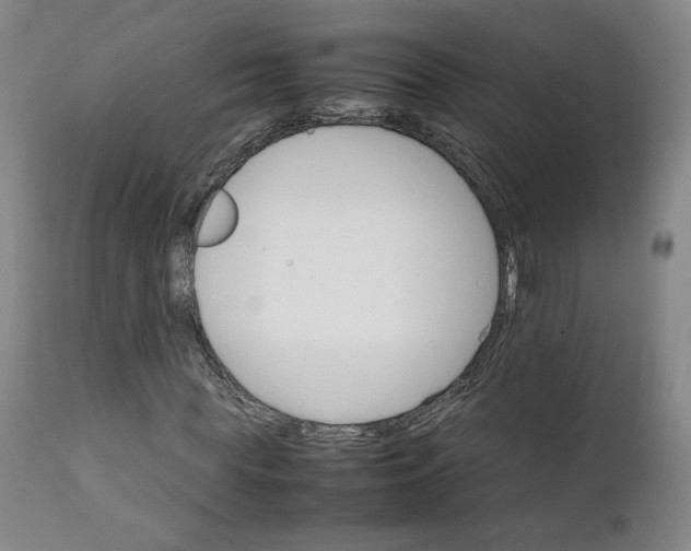 X0000111230819200907161314