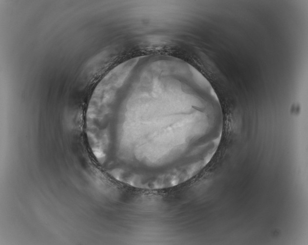 X0000111230820200907161314