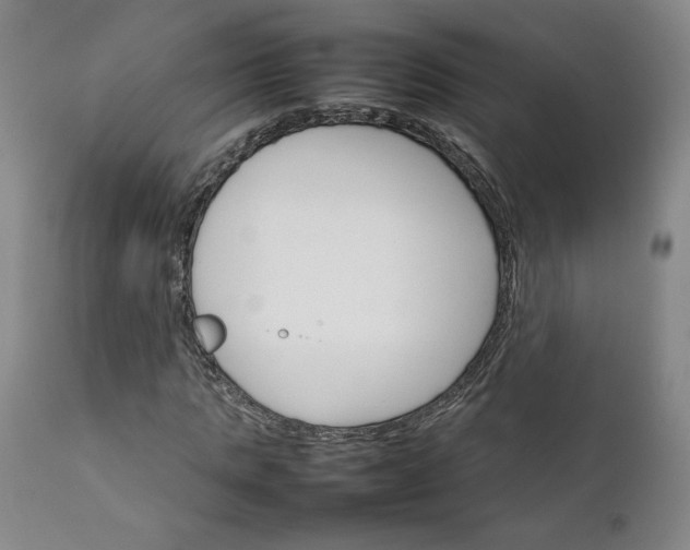 X0000111230821200907161314