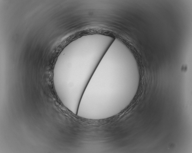 X0000111230822200907161314