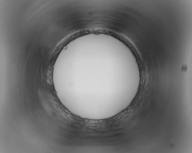 X0000111230823200907161314