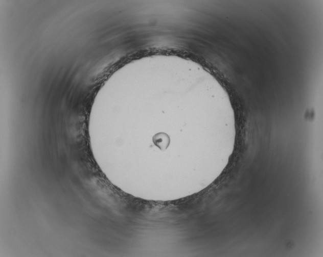 X0000111230824200907161314