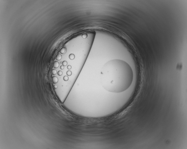 X0000111230826200907161314