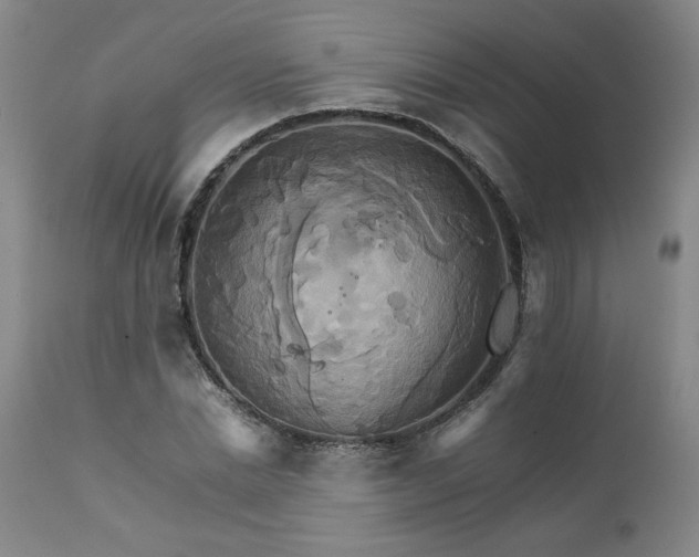 X0000111230830200907161314
