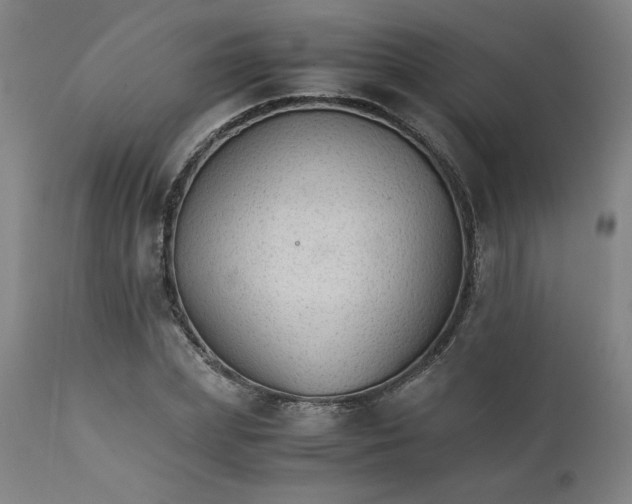 X0000111230831200907161314