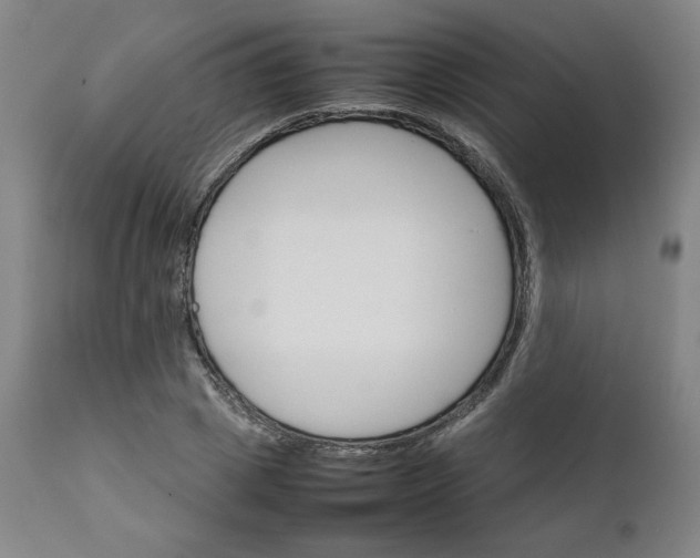 X0000111230833200907161314