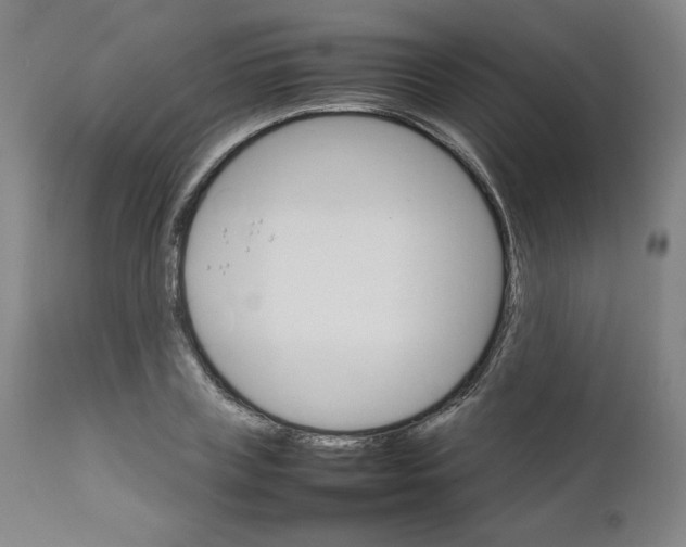 X0000111230835200907161314