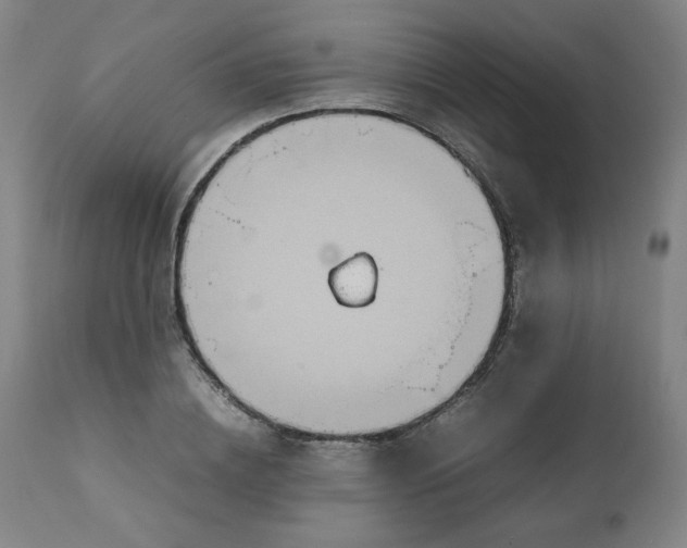 X0000111230836200907161314