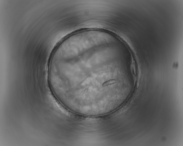 X0000111230840200907161314