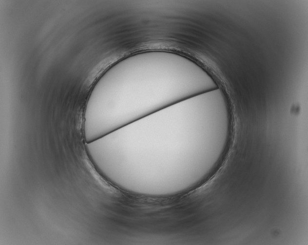 X0000111230841200907161314