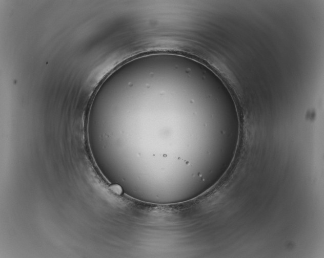 X0000111230842200907161314