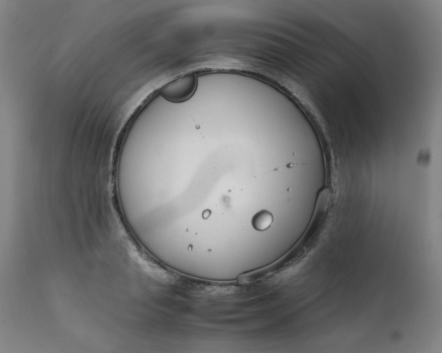 X0000111230845200907161314