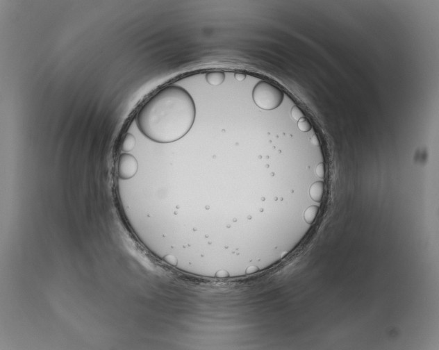X0000111230846200907161314