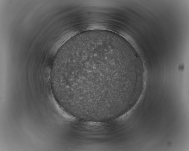 X0000111230849200907161315