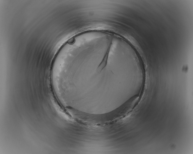 X0000111230850200907161315