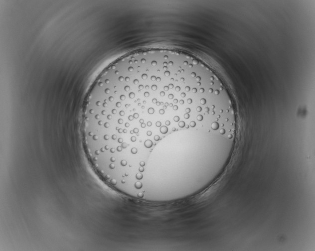 X0000111230855200907161315