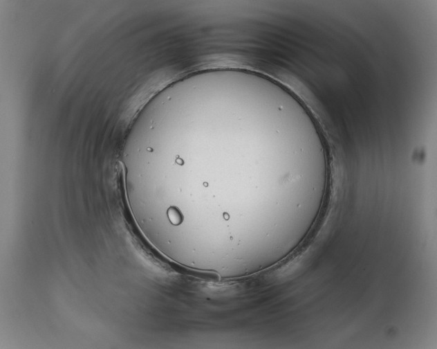 X0000111230857200907161315