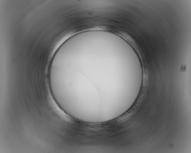 X0000111230859200907161315