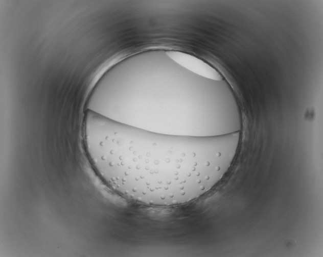 X0000111230861200907161315