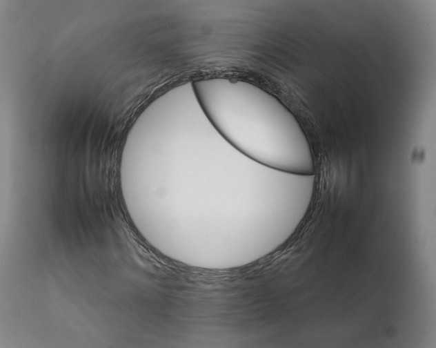 X0000111230868200907161314