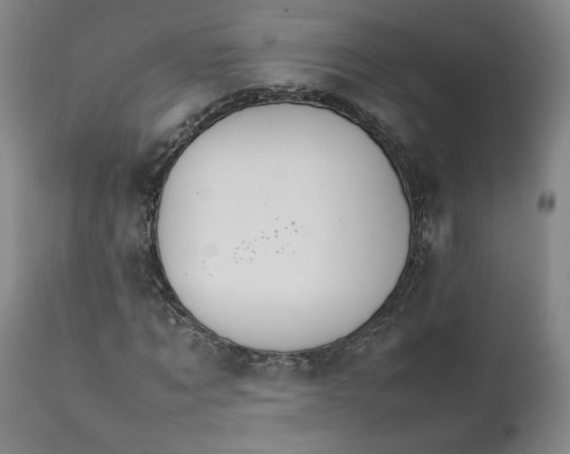 X0000111230869200907161314