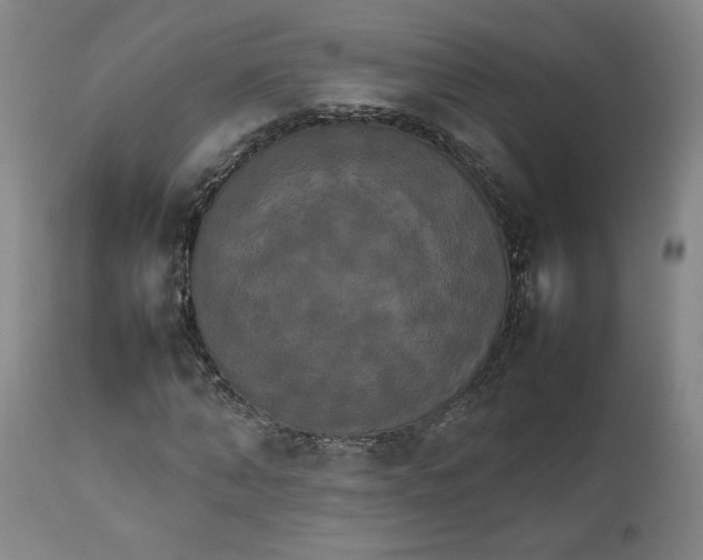 X0000111230870200907161314