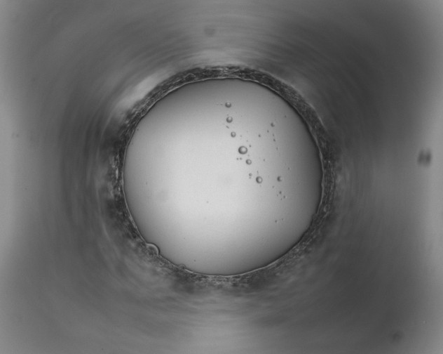 X0000111230871200907161314
