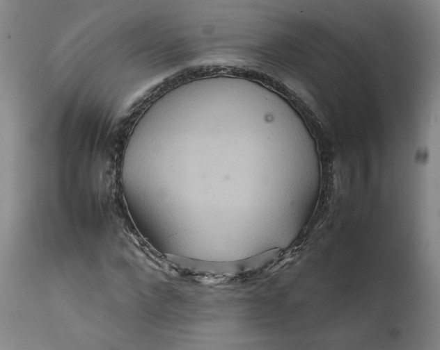X0000111230872200907161314