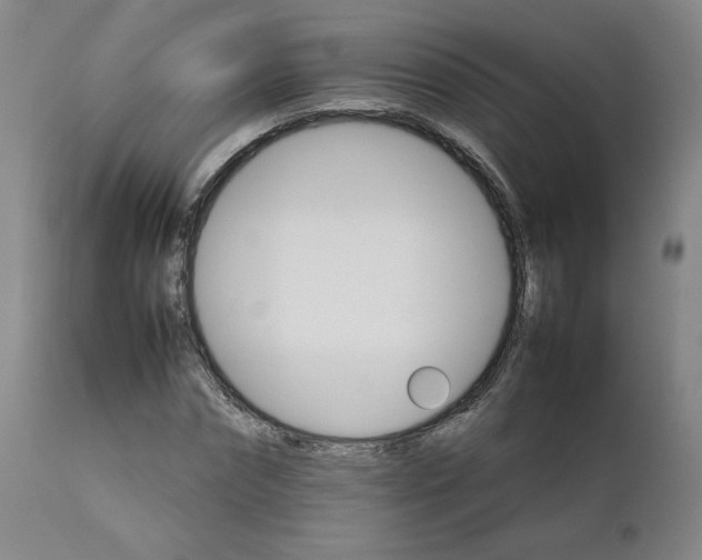 X0000111230874200907161314